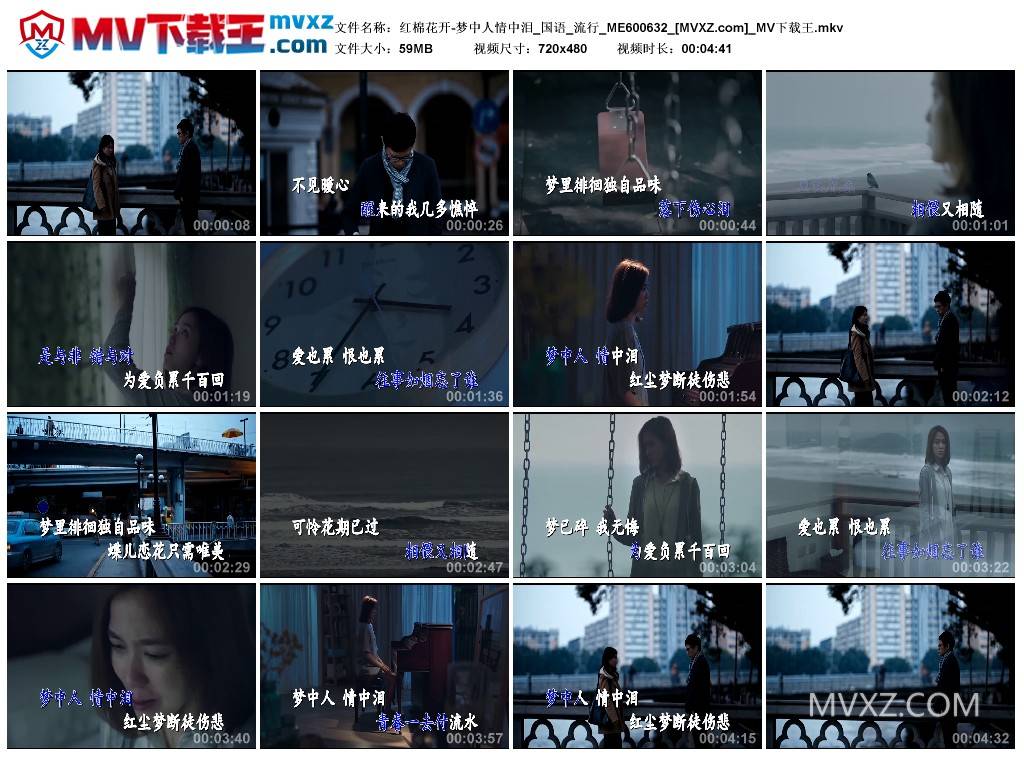 红棉花开-梦中人情中泪_国语_流行_ME600632